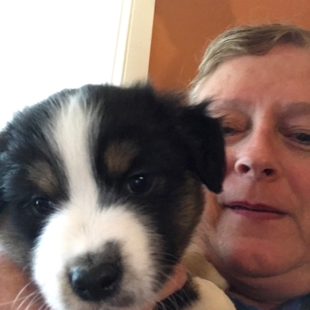 Meet your Posher, Linda